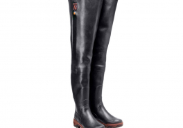 AIGLE