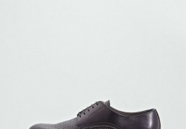 Pollini