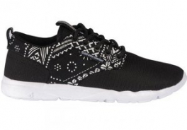DVS