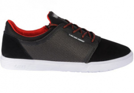 DVS