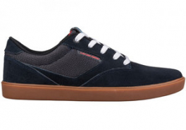 DVS