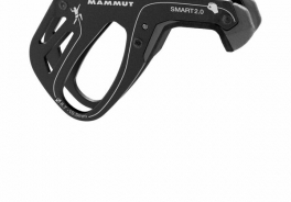 Mammut
