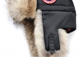 Canada Goose
