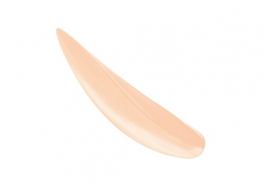 Bourjois