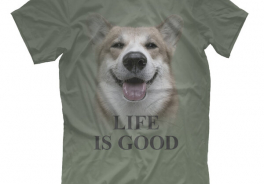 Life is good