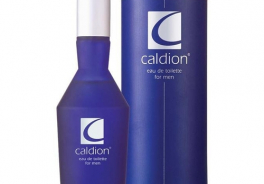 Caldion