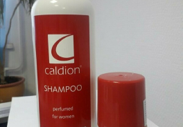 Caldion
