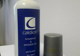 Caldion