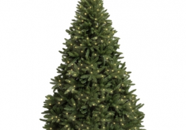 Royal Christmas