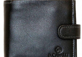 Bruno Cavalli