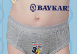 BAYKAR