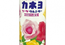 Kaneyo