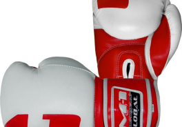 M-1 MixFight
