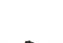 Want Les Essentiels De La Vie