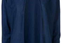 Lamberto Losani