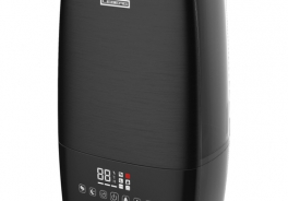Leberg