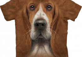 Hound