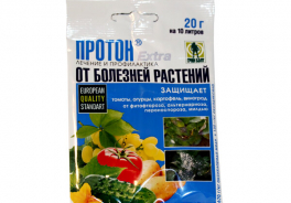 Протон