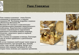 Сушим Вялим
